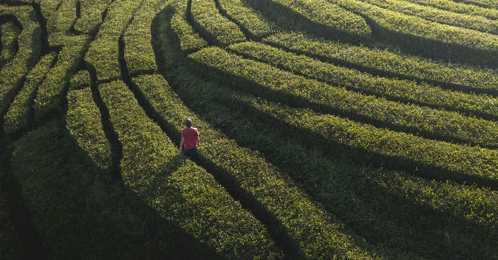 Outpayce Xchange Payment Platform